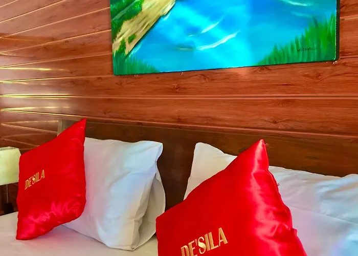 Desila House 4*
